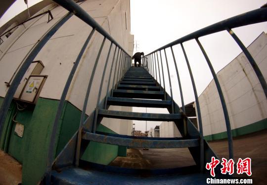 中央儲(chǔ)備糧江西泰和直屬庫(kù)有限公司保管員在倉(cāng)庫(kù)巡查?！⊥蹶魂?yáng) 攝